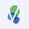 VSTM